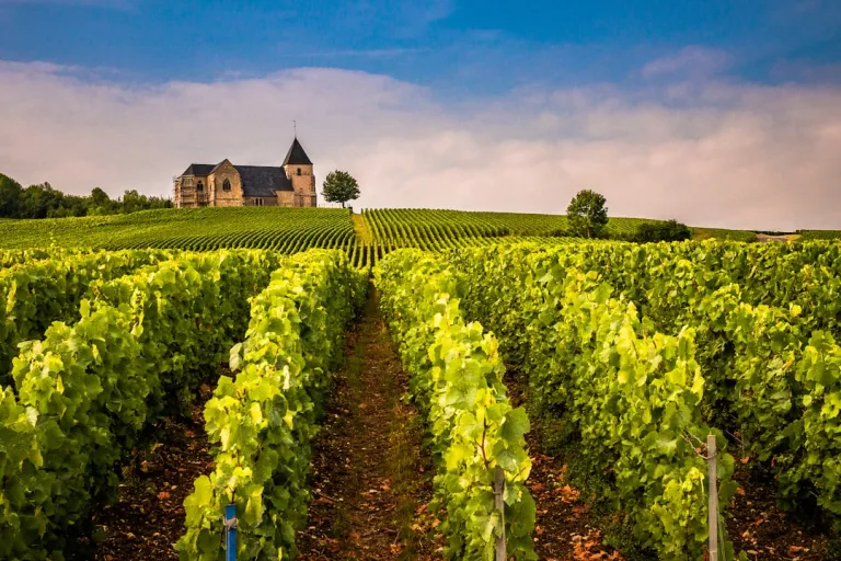 Le Château La Gravière est un ancien domaine viticole. - Photo de Sue Winston
